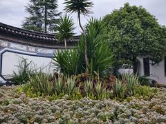 -大理地热国