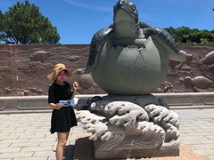 -广东惠东海龟国家级自然保护区