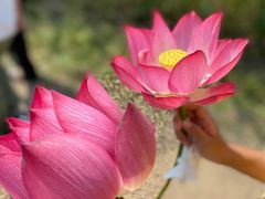 -野鸭湖国家湿地公园