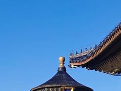 -大海碗·炸酱面·烤鸭·京菜(天坛店)