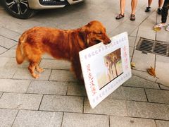 -黄埔古港