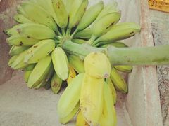 -龟场私房菜
