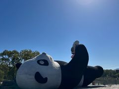 -苏州太湖国家湿地公园