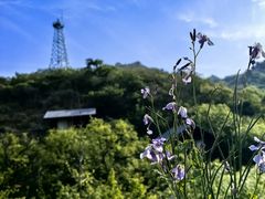-北京水岸山吧度假村(雁栖镇店)