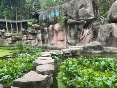 -深圳国际园林花卉博览园