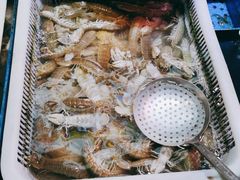 -乔家小院•非遗驴肉•青岛菜(滨河路店)