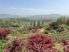 -四明山国家森林公园