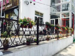 -一花一叶瑜伽生活馆