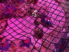 -沈阳海洋探索中心