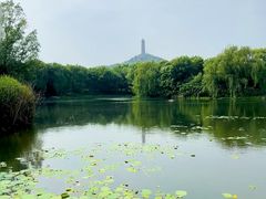 -北坞公园