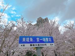-堤角公园