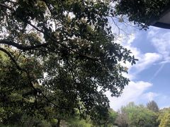 -杭州植物园