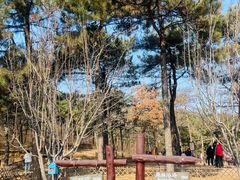 -北京西山国家森林公园