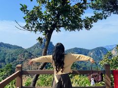 -沂蒙山旅游区云蒙景区(蒙山国家森林公园)
