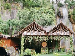 -西双版纳原始森林公园