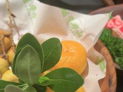 -季季山·云南野生菌火锅(上海首店)