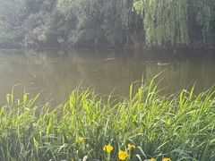 -云龙湖旅游景区