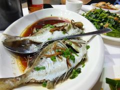 -阳江餐厅·30年老字号·粤菜海鲜大排档