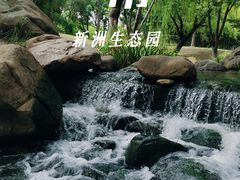 -新洲生态园