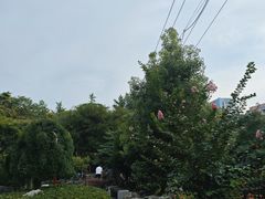 -郑和公园