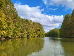 -上海海湾国家森林公园