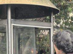 -华林禅寺