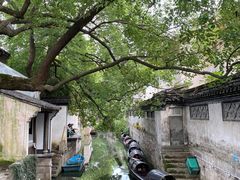 -绍兴鲁迅故里·沈园景区