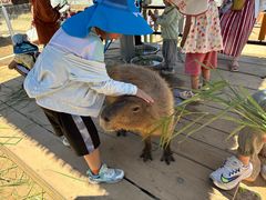 -西霞口神雕山野生动物世界