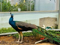 -海堤葡萄园中小学生研学基地