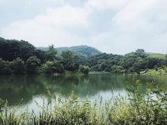 -南山风景名胜区
