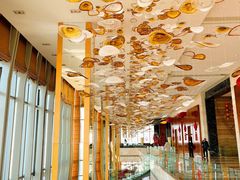 -视界美食自助餐厅·石家庄希尔顿酒店