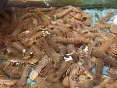 -西贝海鲜汇(槐安路店)