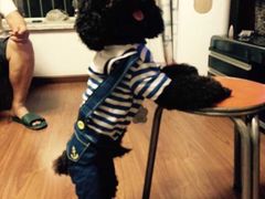 -李想大虾(牡丹路店)