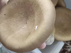 -畲乡一品鱼府土菜馆