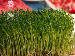 -捞神煲汤火锅(湖滨商业街店)