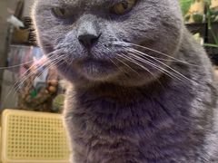 -Rabbit Cafe私房西餐甜点咖啡(栖霞路店)