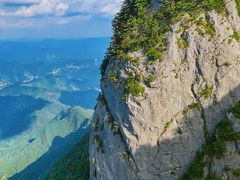 -秦岭天竺山景区