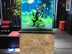 -松临·铁板烧&Omakase(神农店)