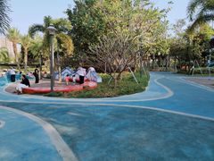 -宝安西湾红树林湿地公园