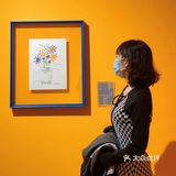 毕加索版画艺术展，大部分在国内首次展出