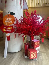 -爱帝宫月子中心(罗湖别墅院)