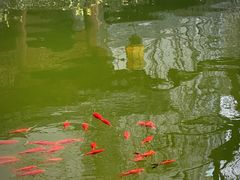 -碑林公园