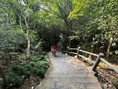 -紫金山山顶公园