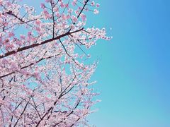 -龙美术馆西岸馆-停车场