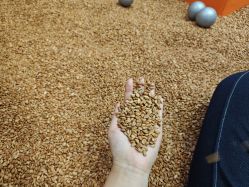 -乐多星球潮玩中心(沈阳嘉里城店)