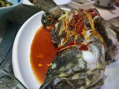 清蒸龙胆鱼-船梆煮•蒸汽海鲜·炉火烤肉(五四广场店)