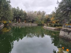 -罗布林卡