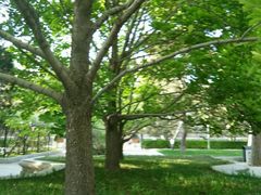 -中央民族大学