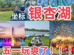 -南京银杏湖乐园
