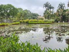 -中国科学院西双版纳热带植物园